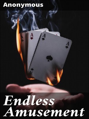 cover image of Endless Amusement
